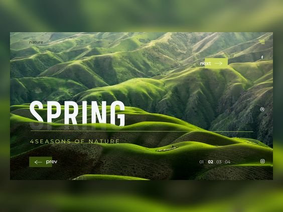 UI/UX 2